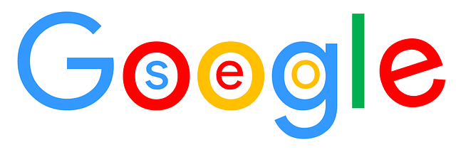 seo v google.png